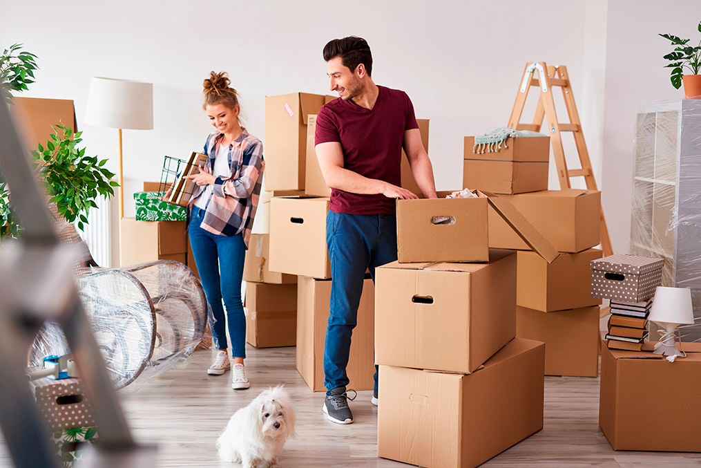 a couple preparing to move