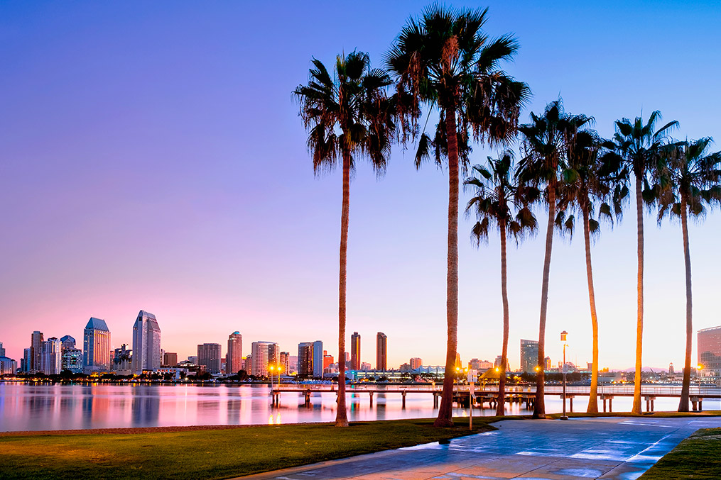 a view of a city skyline with palm trees during summer