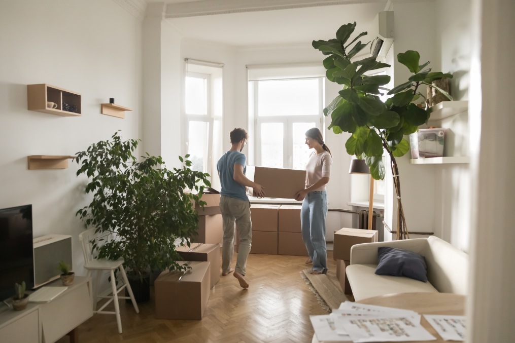 Young married couple carrying boxes into rented flat, cozy room with houseplants, moving into new home after renovation, buying apartment, enjoying relocation. Full length shot