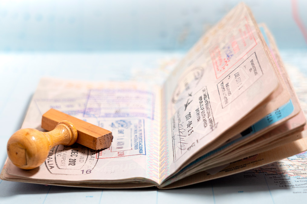 details of visa stamped by immigration