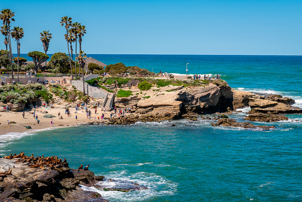 A vibrant San Diego beach scene featuring palm trees and visitors, showcasing winter fun in a warm coastal setting.