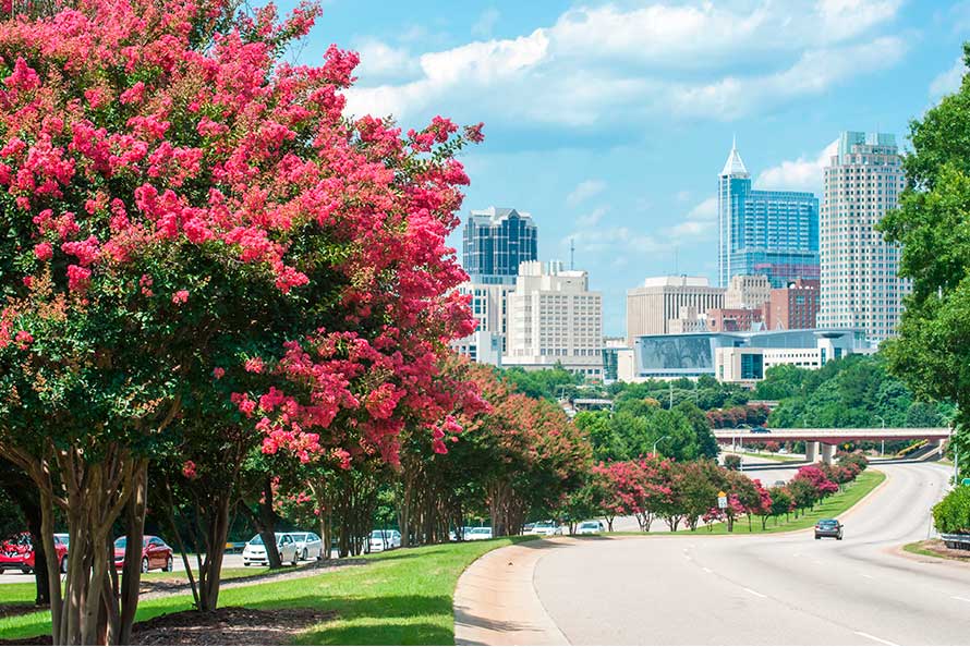 A scenic city skyline framed by green trees and blooming flowers, representing the transition from San Diego to Raleigh, NC.
