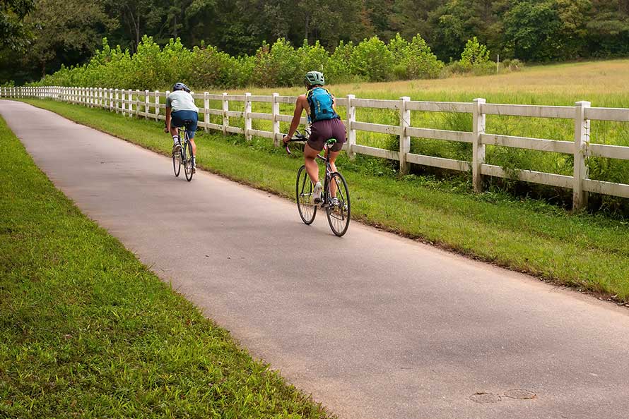 two individuals biking together on a smooth paved path, surrounded by greenery.